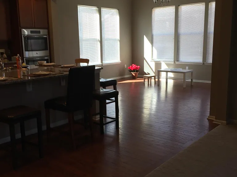 1717 Dusty Boot Dr — Photo 3