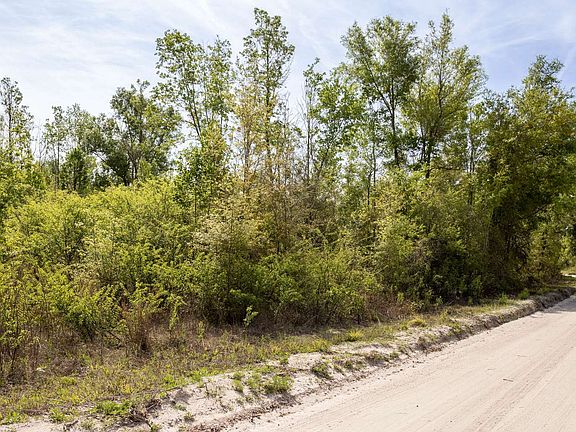 3rd image of 0 SW Graceland Rd