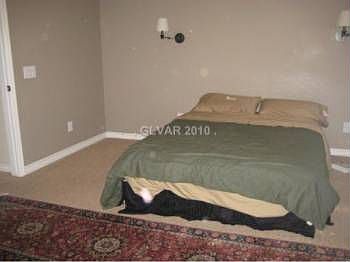 4th image of 8060 Celina Hills St
