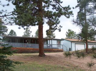 2173 Pathfinder Rd, Florissant, CO 80816