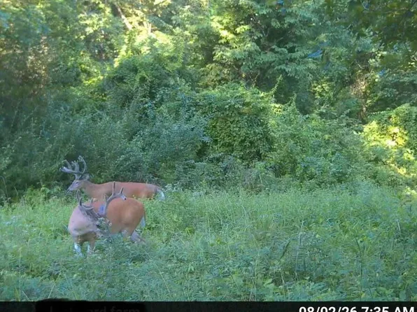 2320 County Rd, Moberly, MO 65270