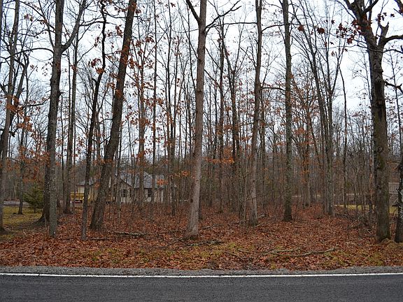3rd image of Satsuma Dr