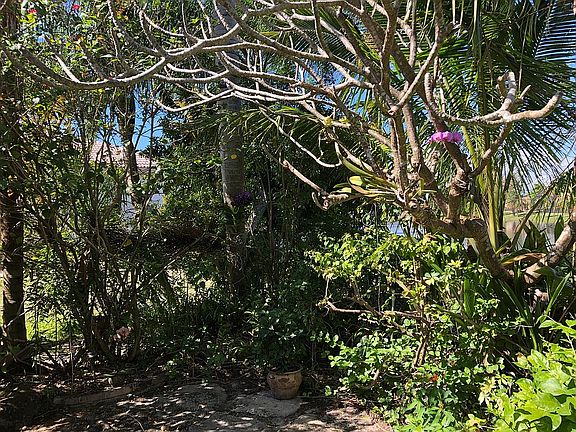 Garden Patio
