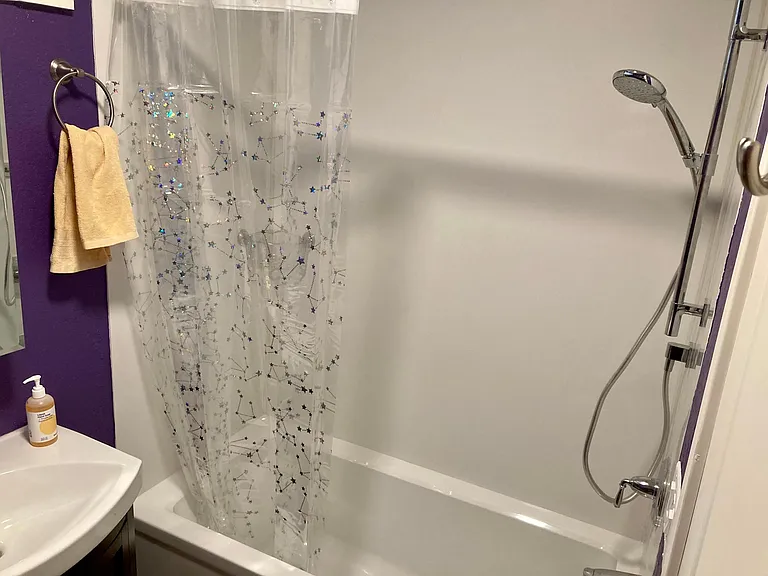 Bath tub and shower two