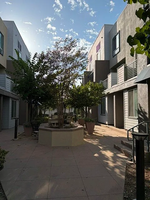 3 bed, 1495 sqft, $3,800 — Photo 3