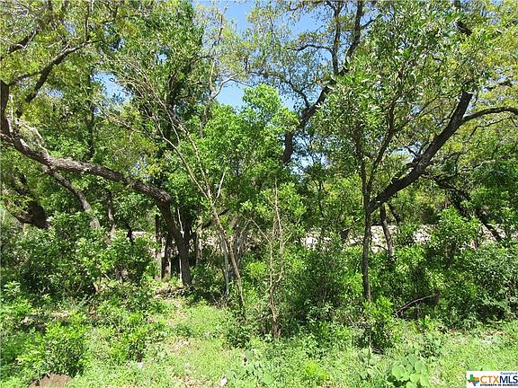 4th image of 2 Gruene Wald