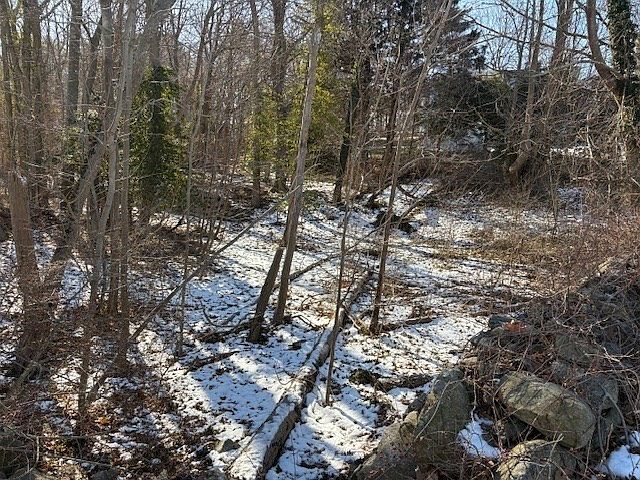 2nd image of 40 Pond St
