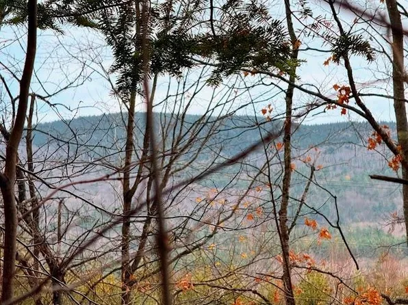 00 Bradley Hill Road, Benton, NH 03785