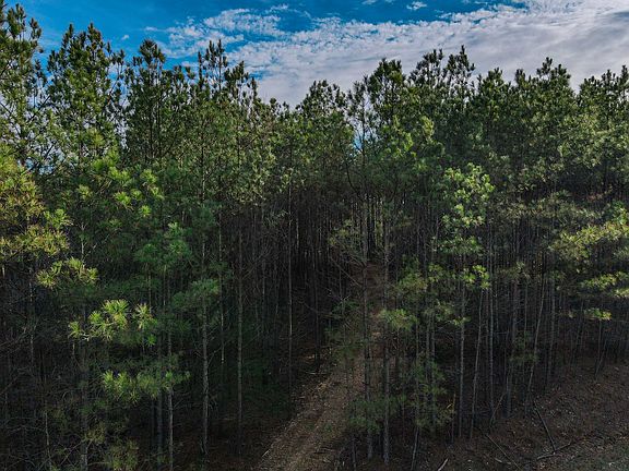 2nd image of 0 Brush Creek Rd Lot 13
