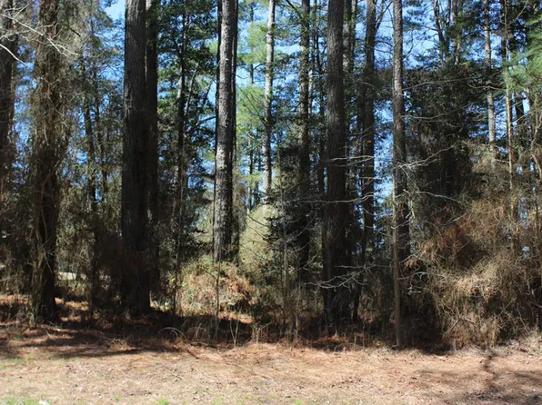 445 Captains Corridor, Greenbackville, VA 23356