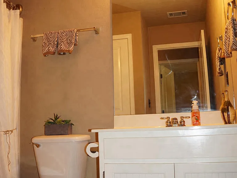 Hall Bathroom