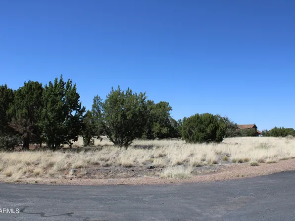 2511 Rock View Drive #11, Show Low, AZ 85901