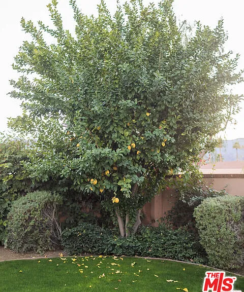 54155 Cananero Cir — Photo 46