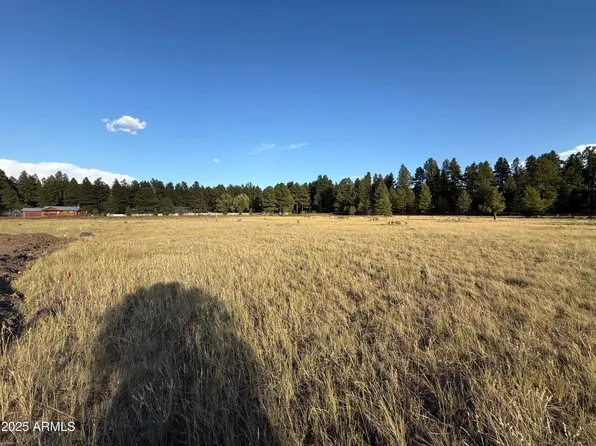 213 HIGH POINT Lane #8, Mormon Lake, AZ 86038