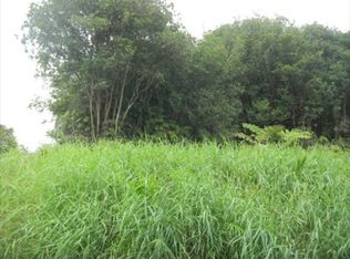 Kaniela Rd, Mountain View, HI 96771