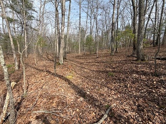 5th image of LOT 8 Walton Furnace Rd