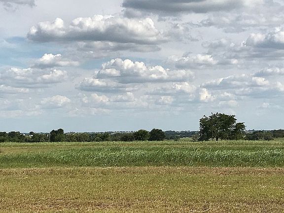 5th image of 768 County Road 293
