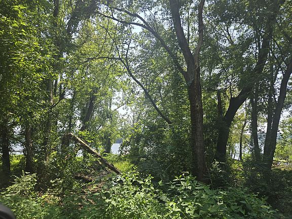 3rd image of 480 Bluff Point Ridge Rd