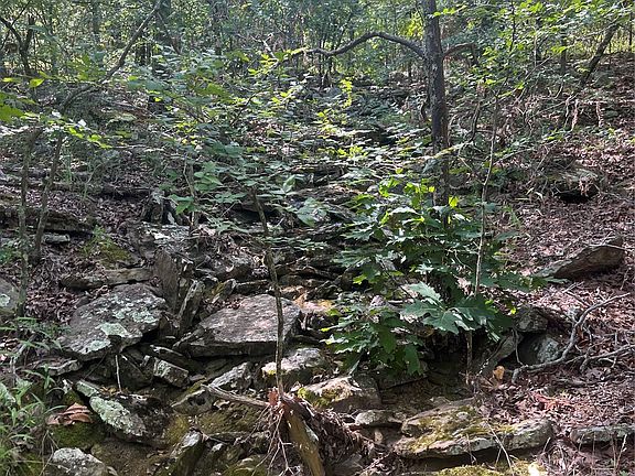 5th image of 2 Rural Rte