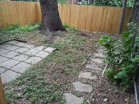 Rented by ZealEstate Group Inc | media 60