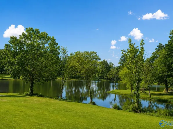 Lots 6 7 County Road 7 #115-6, Cedar Bluff, AL 35959