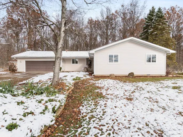 20100 Nelson Rd, Merrill, MI 48637