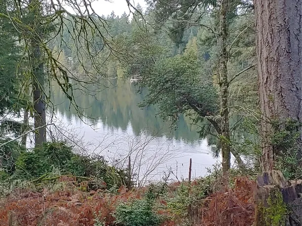 10007 104th Avenue, Anderson Island, WA 98303