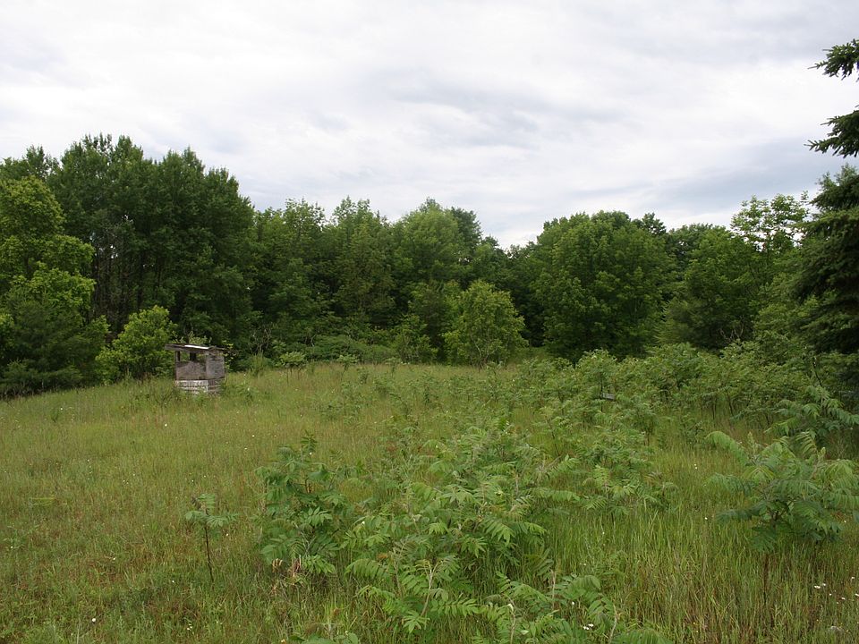 2nd image of 11295 Hibma Road