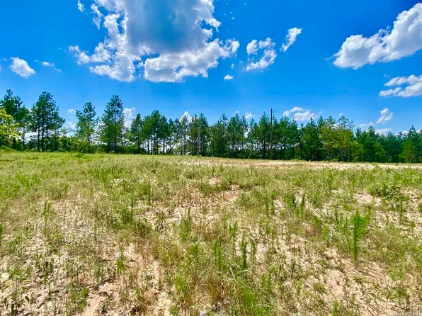 97 County Road 763, Sheridan, AR 72150