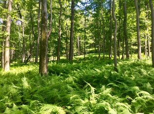 MT Eaton Rd, Saylorsburg, PA 18353