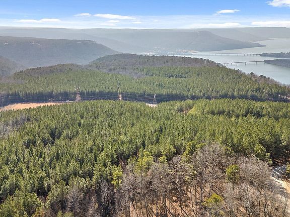 3rd image of 0 Wildlife Way