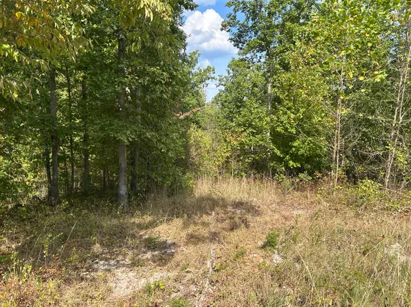Hc 73 Box 4925 (Track 20), Drury, MO 65638