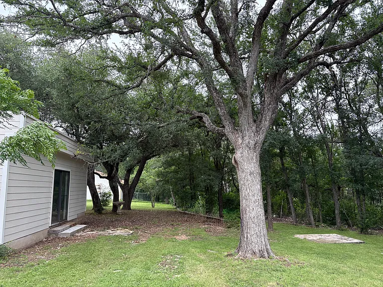 Back yard