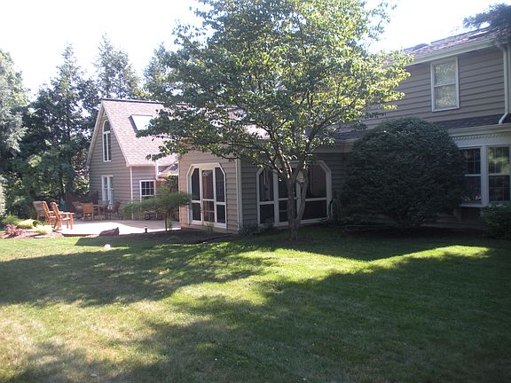 back yard