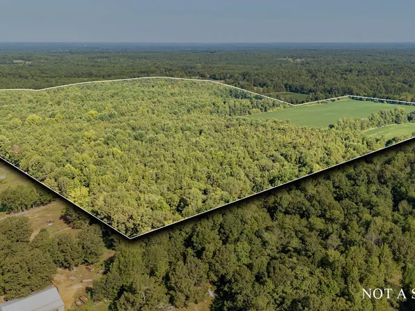 2395 Pocahontas Rd, Pocahontas, TN 38061