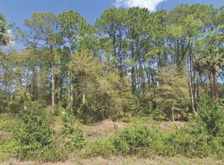 318 Redwood Blvd Lot 30, Georgetown, FL 32139