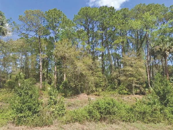 318 Redwood Blvd Lot 30, Georgetown, FL 32139