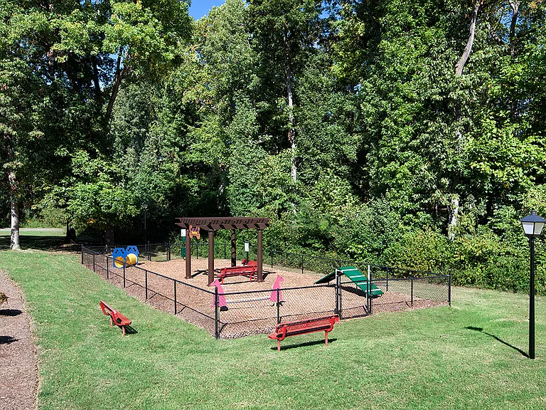 Dog Park