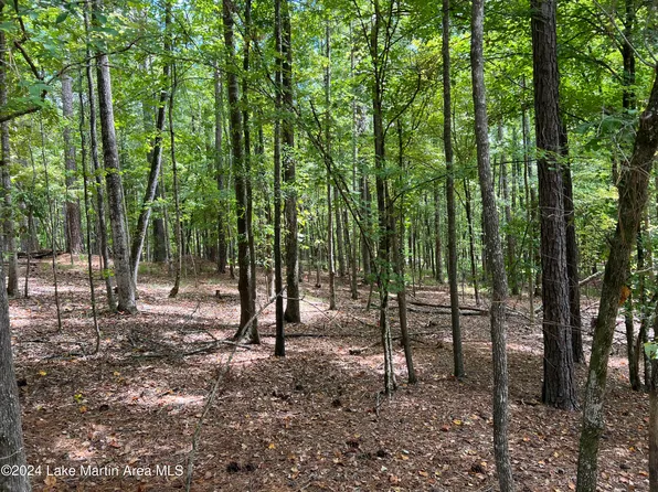 46 Tanglewood Ct, Dadeville, AL 36853