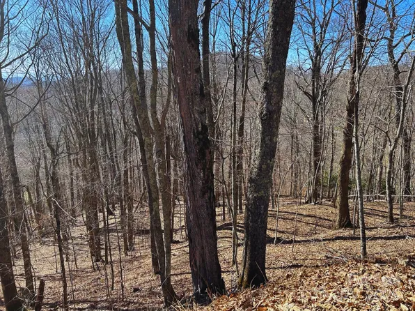 692 Oak Ridge Ln #692, Mars Hill, NC 28754