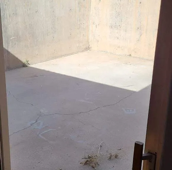 Rear patio