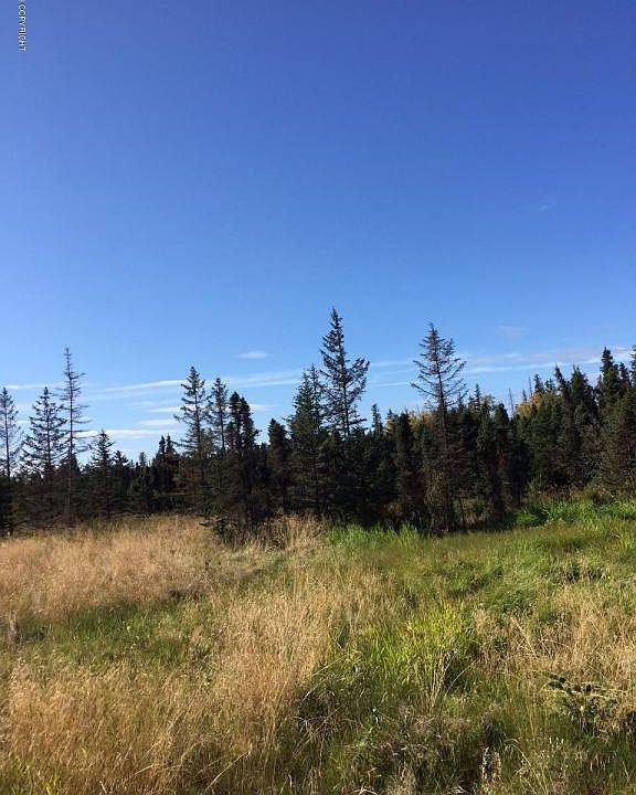 1st image of L36 Kachemak Dr