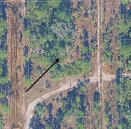 3rd image of 2074 W Lansing Cir Lot 44