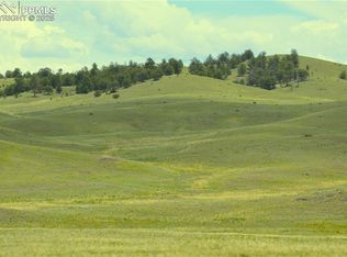 Ahlers Ln, Hartsel, CO 80449