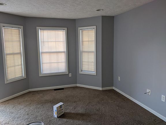 Living room. This is the paint scheme throughout.