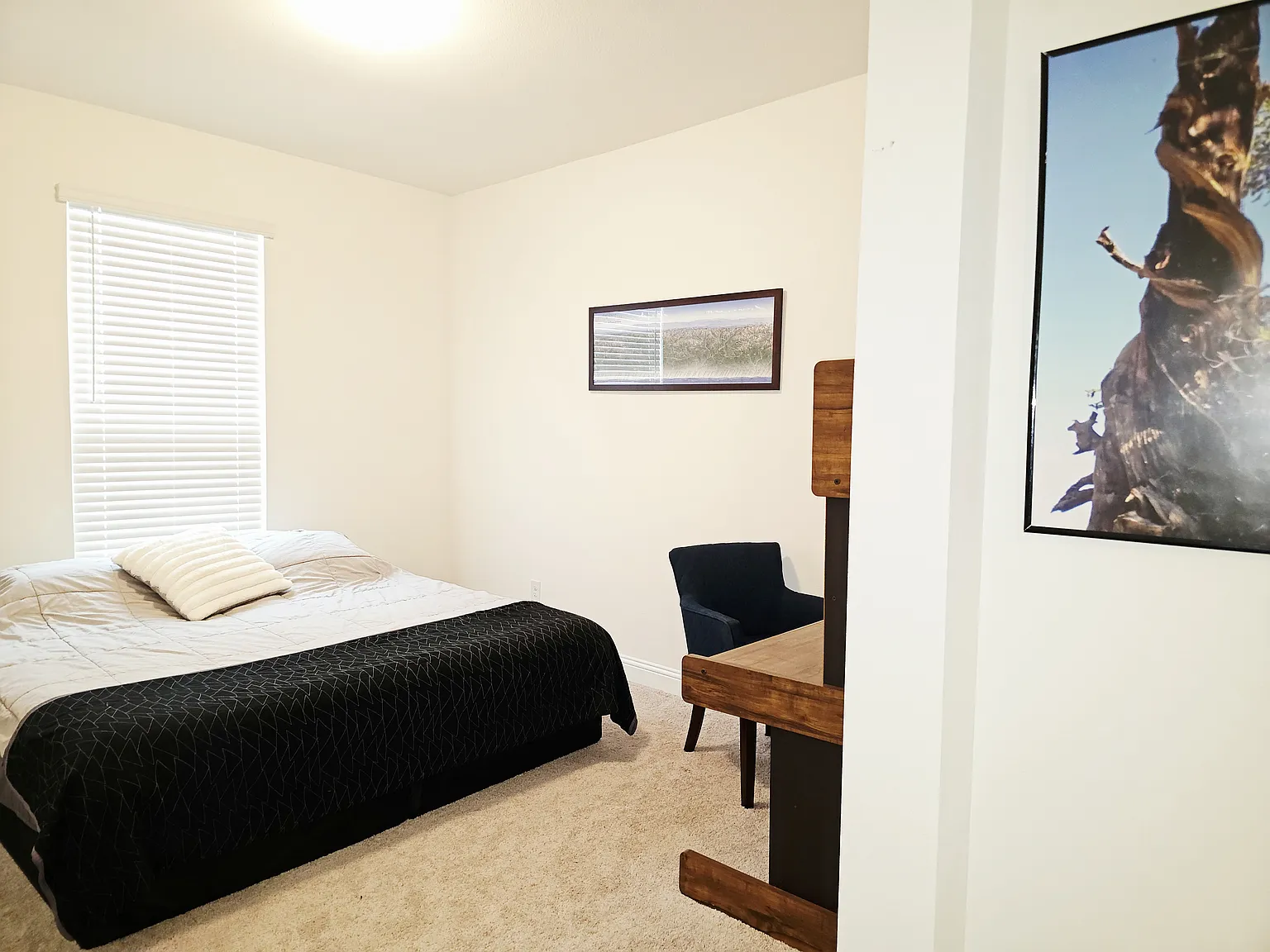 4 bed, 2.5 bath, 2800 sqft, $3,100 — Photo 2
