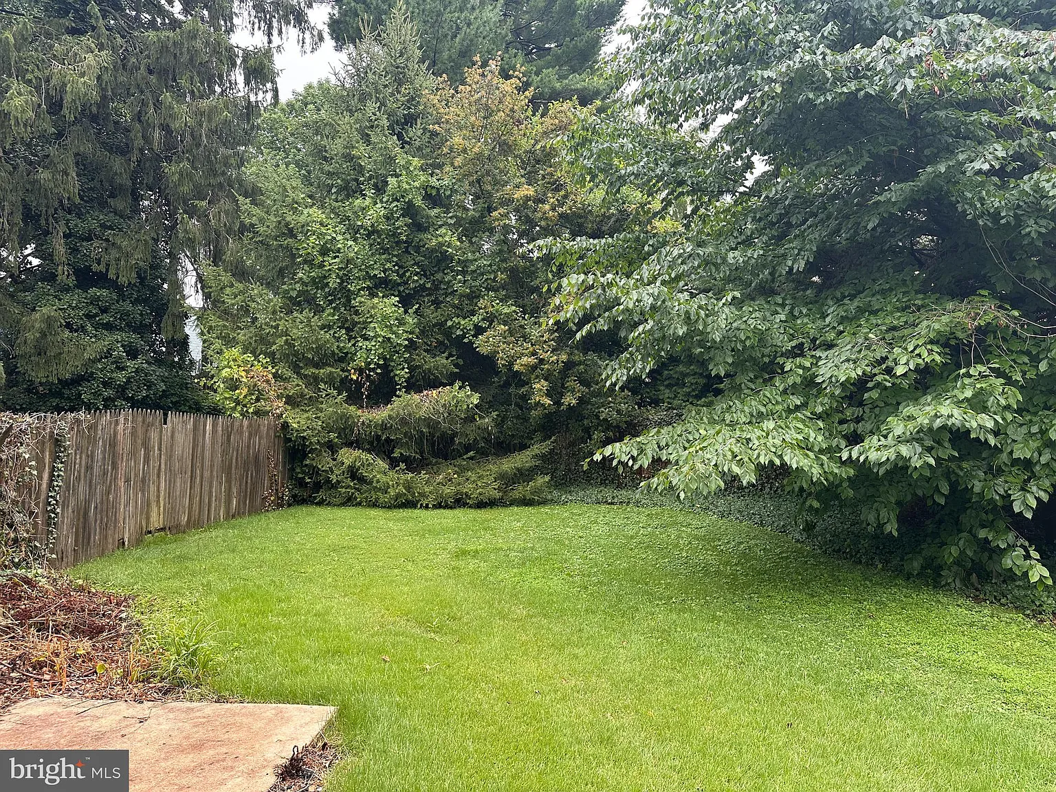 4 bed, 4.0 bath, 1928 sqft, $3,350 — Photo 3