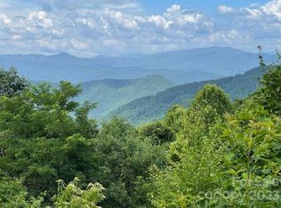 63 Falls Rd, Bryson City, NC 28713