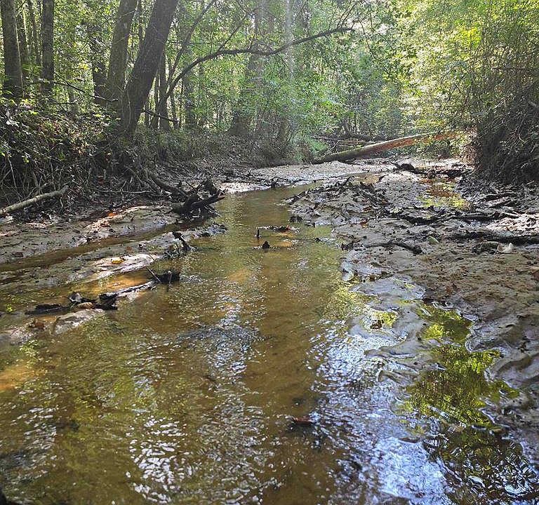 1st image of 713 County Road 243