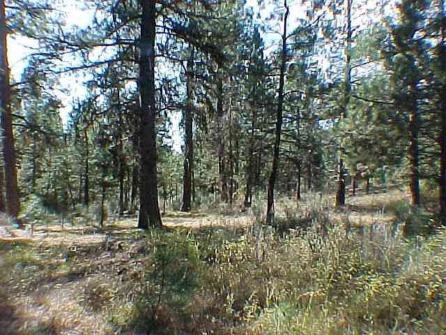 1st image of L-48 Eight Mile Dr